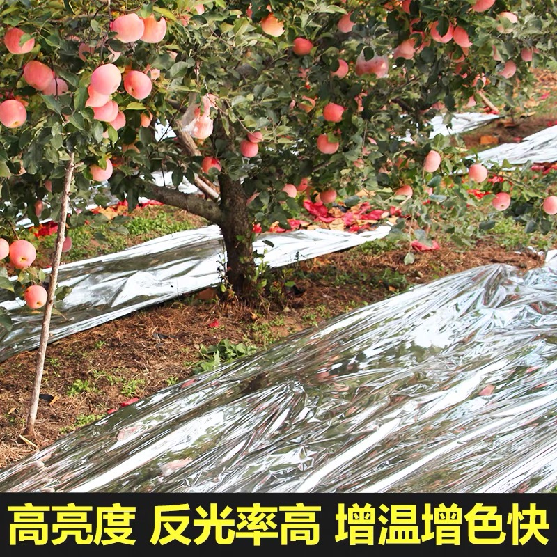 庆阳市工程膜果树反光膜 - 哪里好
